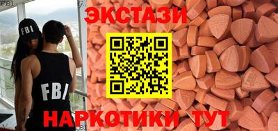 дмт Кингисепп