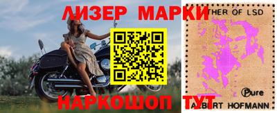 дмт Кингисепп