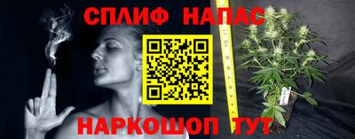 гидропоника Кинель