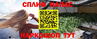 дмт Кингисепп