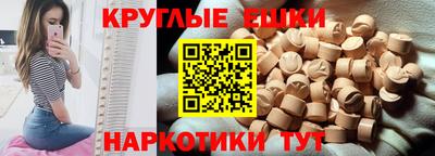 дмт Кингисепп