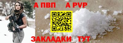 дмт Кингисепп