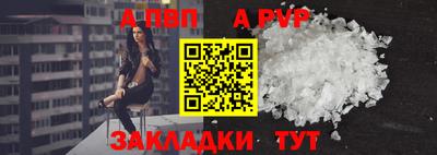 дмт Кингисепп