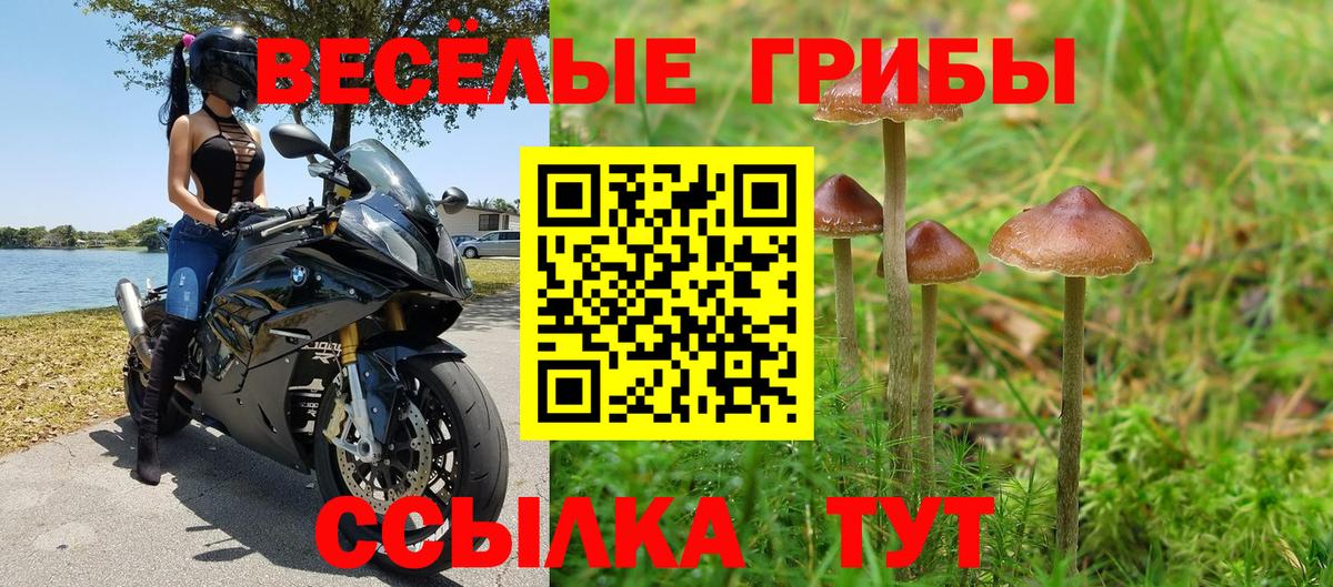 Псилоцибиновые грибы Psilocybine cubensis  Вход с VPN  Клинцы  Псилоцибиновые грибы ЛСД 
