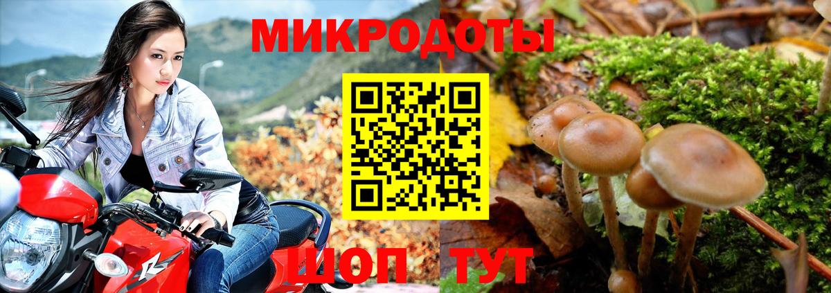Псилоцибиновые грибы Magic Shrooms Клинцы
